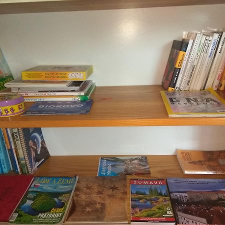 Ubytovani U Dolanskych Czeski Krumlow Zewnętrze zdjęcie