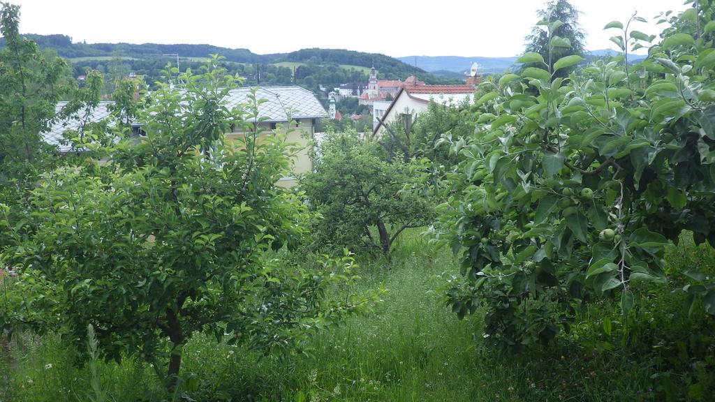 Ubytovani U Dolanskych Czeski Krumlow Zewnętrze zdjęcie