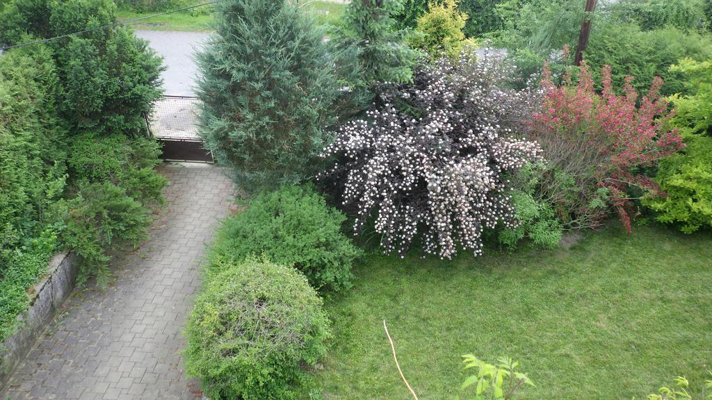 Ubytovani U Dolanskych Czeski Krumlow Zewnętrze zdjęcie